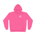 AISS EcoSmart® Pullover Hoodie Sweatshirt