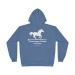 AISS EcoSmart® Pullover Hoodie Sweatshirt