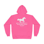 AISS EcoSmart® Pullover Hoodie Sweatshirt