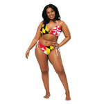 Maryland State Flag Bikini