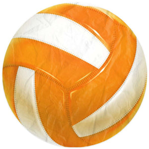 Orange Volleyball Beach Blanket