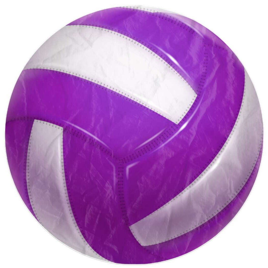 Purple Volleyball Beach Blanket