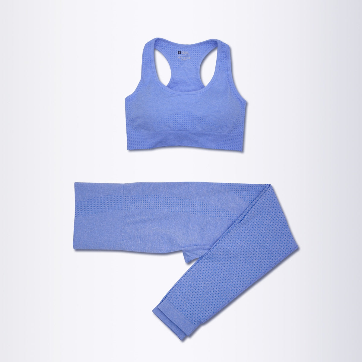 Women's 2 Piece Seamless Blue Yoga Activewear Set