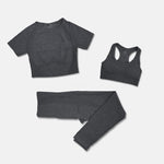 Women's 3 Piece Seamless Dark Grey Yoga Activewear Set