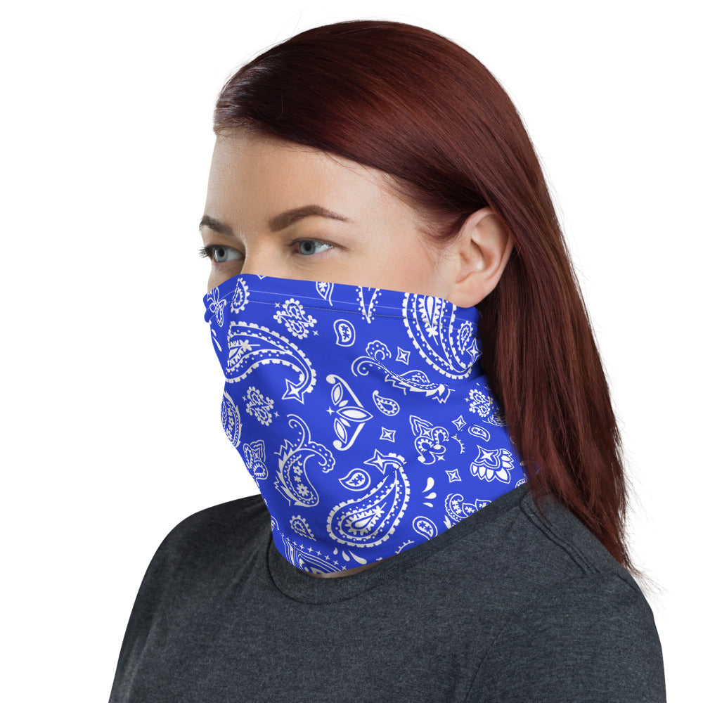 Blue Paisley Headband