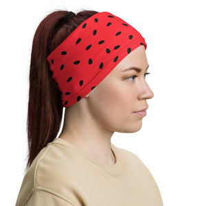 Watermelon Slice Headband