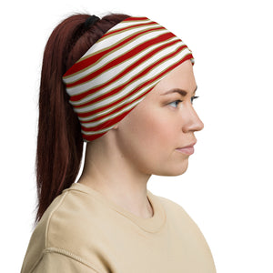 San Fransisco Zebra Stripe Headband